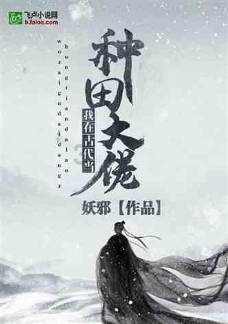 精灵的冒险之旅