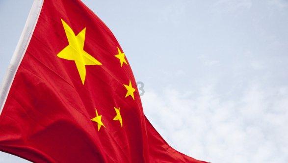 可怜猫的救援