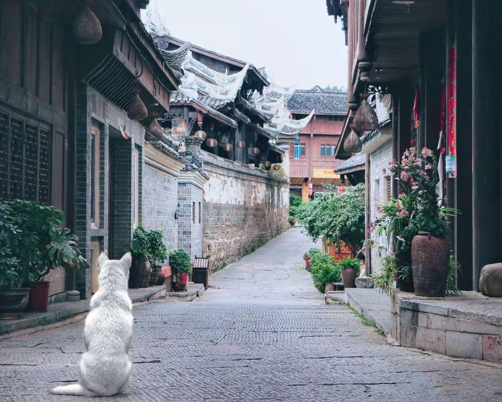 怎么看待90后职场上直接怼领导？游戏画面
