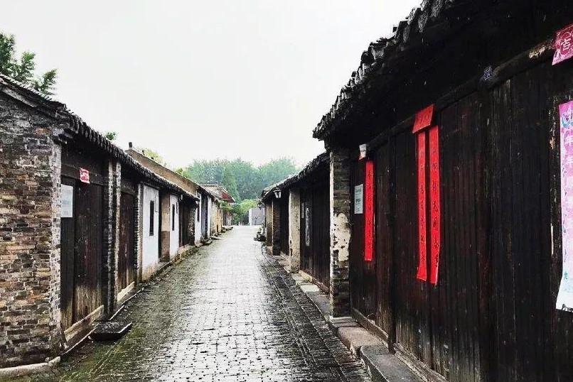 江苏:围绕“稳产增收四提升”推进乡村振兴